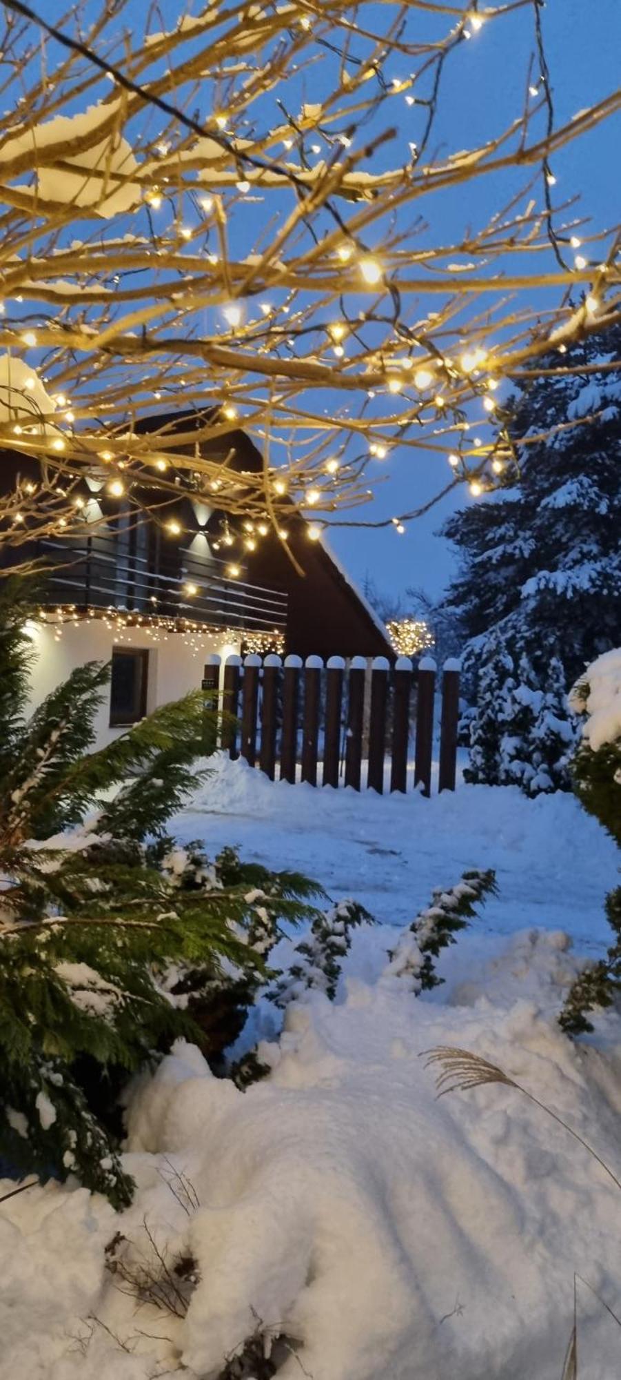 Apartament Willa Pod Sosnami Zator Przeciszow Exteriör bild